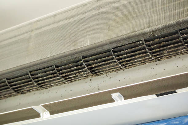 Best Professional Duct Cleaning Services  in Rochester, PA
